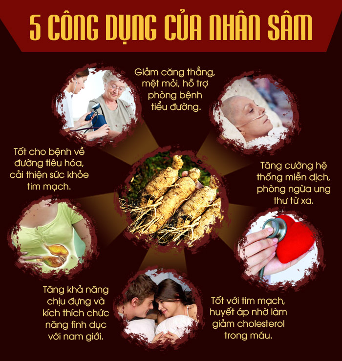 CÔNG DỤNG SÂM 6 NĂM TUỎI